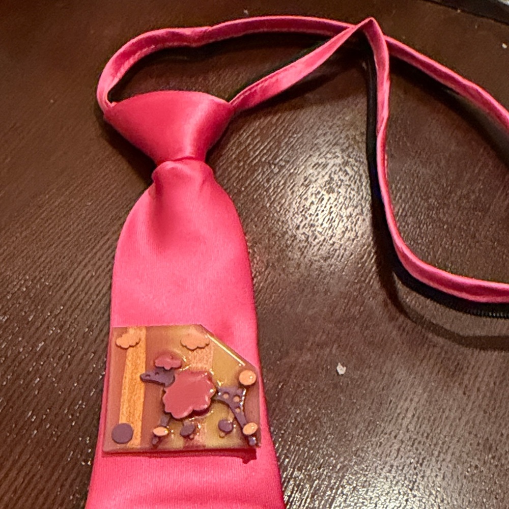 Unique Pink Satin Necktie with Decorative Pin